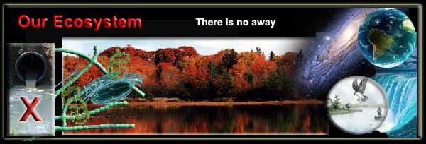 ecology