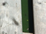 Sept-2009_
                  015.jpg