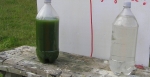 water
                  samples.jpg