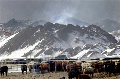 photo/2000tons_manure.jpg
