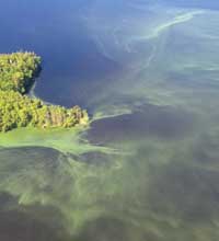 lake_vaughn-june24-2011.jpg