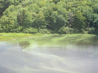 wentworth river
