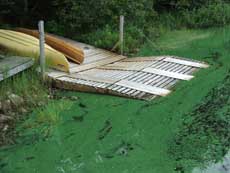 24th-2013-Lake-Fanning