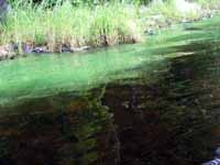 2012/lake-fanning/Lake-Fanning-29-June-2012-12s.jpg