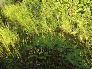 Sept-2009_
                  021.jpg