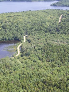 mink stink
                  031.jpg