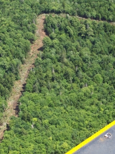 mink stink
                  032.jpg