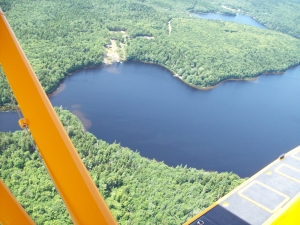 mink stink
                  035.jpg