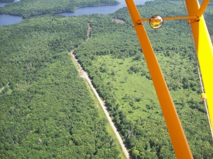 mink stink
                  036.jpg