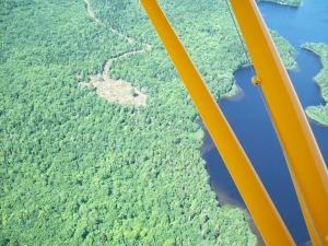 mink stink
                  037.jpg