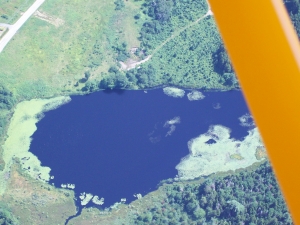 mink stink
                  039.jpg