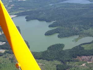 mink stink
                  041.jpg