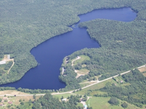 mink stink
                  042.jpg