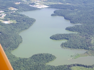 mink stink
                  043.jpg