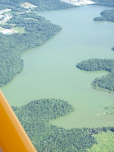 mink stink
                  044.jpg