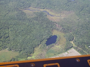 mink stink
                  052.jpg