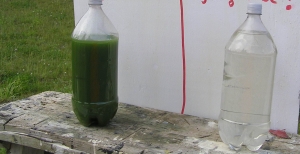 water
                  samples.jpg