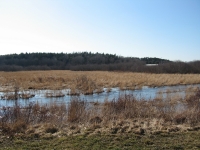 13_The_silver_rectangle_in_the_trees_is_a_mink_farm.JPG