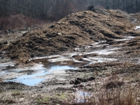 2_Is_this_composting.JPG