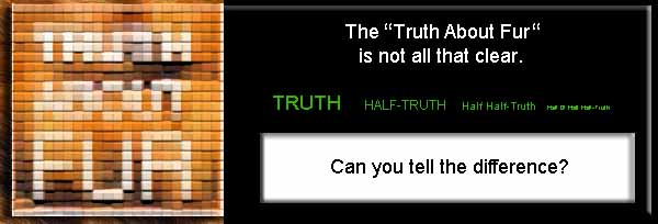 2014/truth1a.jpg