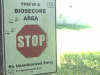 aug-2013/biohazard_area1s.jpg