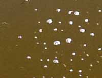 aug-2013/decomposition_gas-1s.jpg