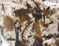 wood chips