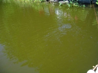 IMG_4615_resize.jpg