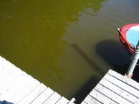 IMG_4617_resize.JPG