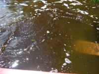 IMG_4623_resize.JPG