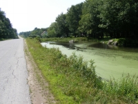 z-DSCF0613.jpg