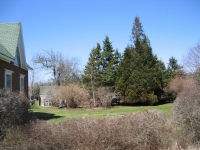 arcadia37.jpg