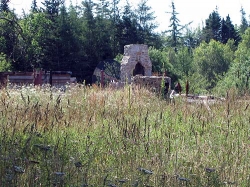 bellville-0004.jpg