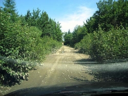 bellville-0016.jpg