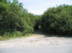 bellville-0057.jpg