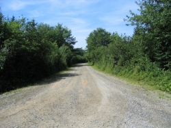 bellville-0095.jpg