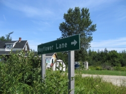 bellville-0117.jpg