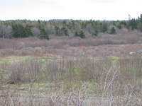 a0055.jpg
