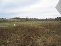 a0064.jpg