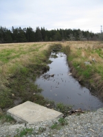 c0062.jpg