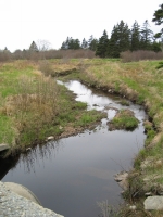 c0063.jpg