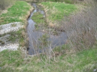 c0068.jpg