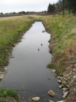 d0069.jpg