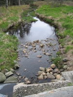 d0075.jpg