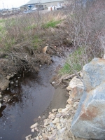 f0078.jpg