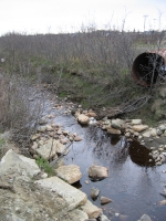 f0079.jpg