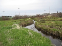 g0080.jpg