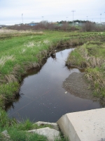 g0082.jpg