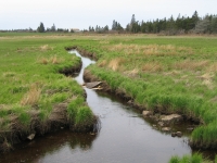 i0014.jpg