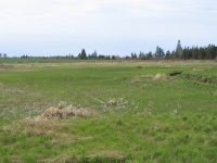 i0015.jpg